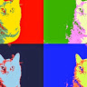 Meet your Posher, Rose